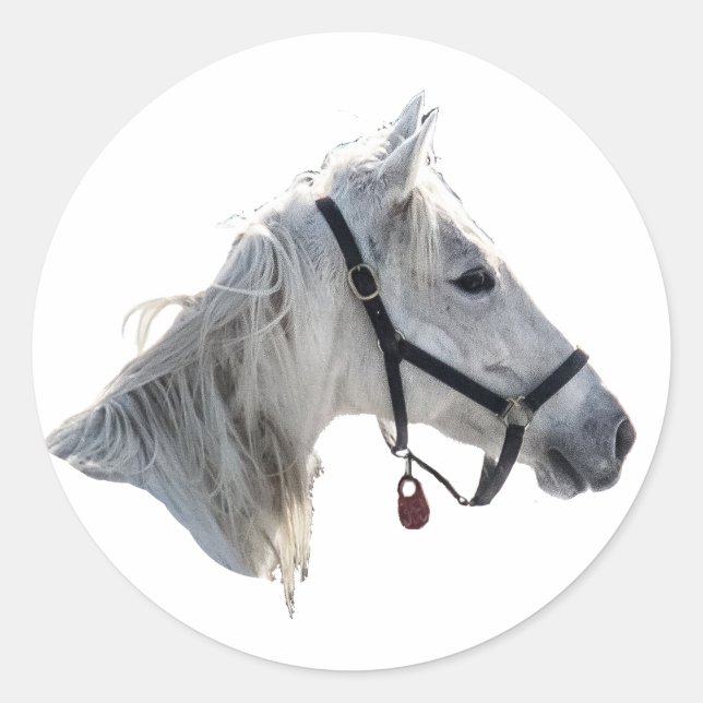 Pegatina Redonda Caballo blanco (Anverso)