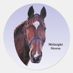 Pegatina Redonda Caballo con Estrella Blanca (texto de cambio)