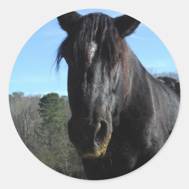 Pegatina Redonda Caballo de Borrador Negro rescatado (Anverso)
