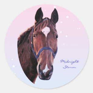 Pegatina Redonda Caballo de castaño con estrella blanca