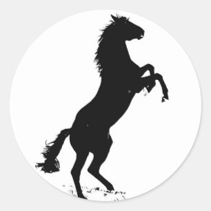 Pegatina Redonda Caballo de cría