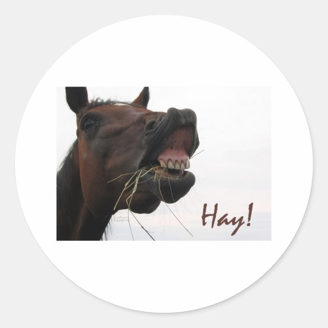 Pegatina Redonda Caballo divertido: ¡Hay! (Anverso)