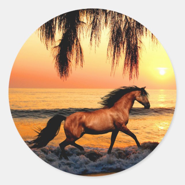 Pegatina Redonda Caballo en la playa al atardecer (Anverso)