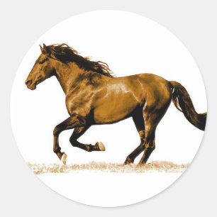 Pegatina Redonda Caballo en marcha