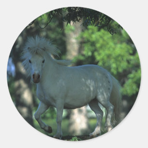 Pegatina Redonda Caballo en miniatura en los árboles