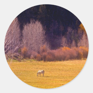 Pegatina Redonda Caballo en otoño