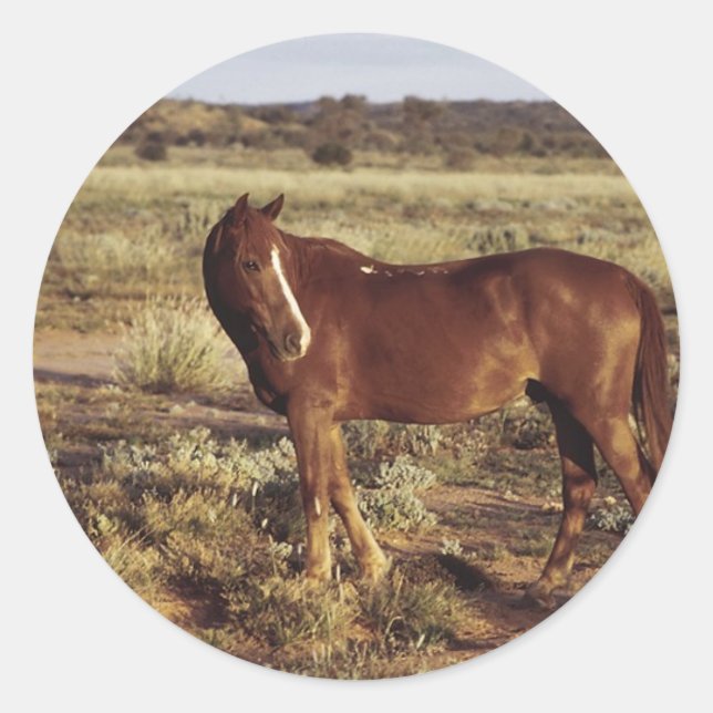 Pegatina Redonda Caballo en pastoreo (Anverso)