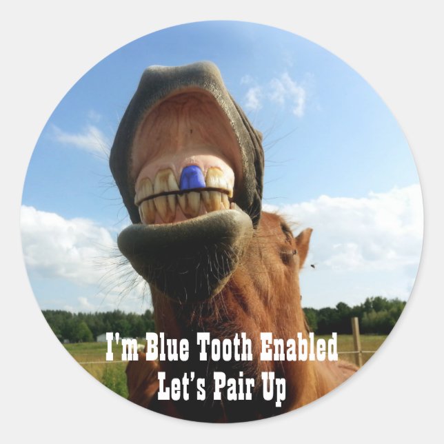 Pegatina Redonda Caballo habilitado para diente azul (Anverso)