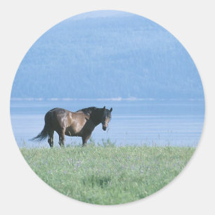 Pegatina Redonda Caballo, lago y montaña