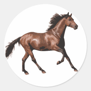 Pegatina Redonda Caballo marrón