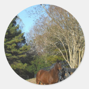 Pegatina Redonda Caballo marrón contra una valla