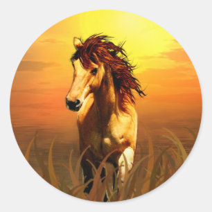 Pegatina Redonda Caballo matutino