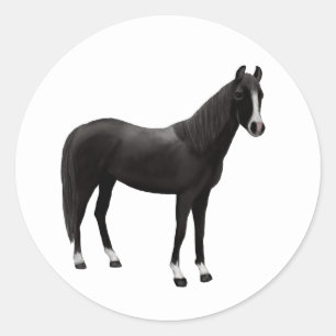 Pegatina Redonda Caballo Occidental Ecuestre Poni Negro