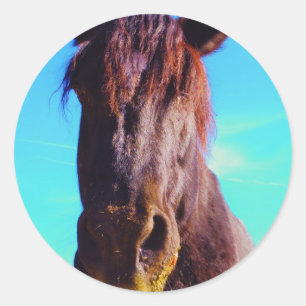 Pegatina Redonda Caballo púrpura con boca verde