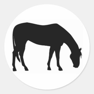 Pegatina Redonda Caballo que pasta