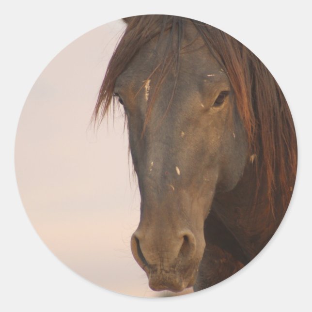 PEGATINA REDONDA CABALLO SALVAJE DE UTAH EN EL DESIERTO OCCIDENTAL (Anverso)