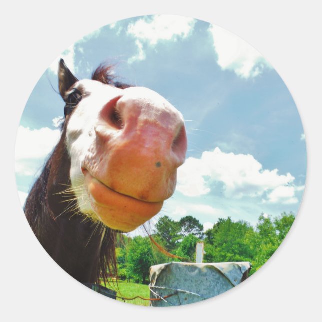 Pegatina Redonda Caballo sonriente (Anverso)
