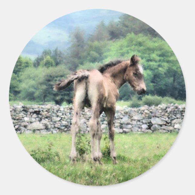 PEGATINA REDONDA CABALLOS (Anverso)