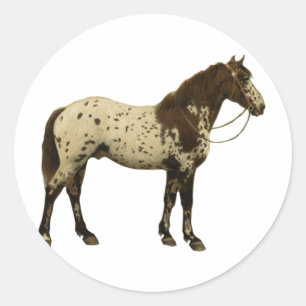 Pegatina Redonda Caballos antiguos - Appaloosa
