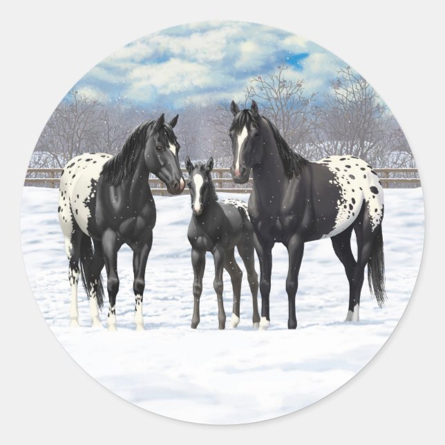 Pegatina Redonda Caballos Appaloosa Negros En Nieve (Anverso)