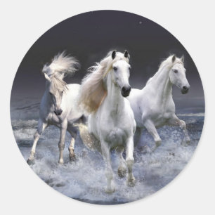 Pegatina Redonda Caballos blancos majestuosos