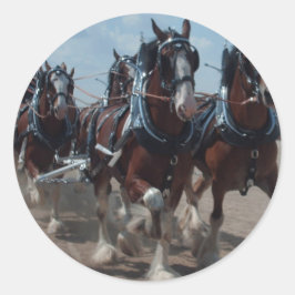 Pegatina Redonda Caballos de Clydesdale