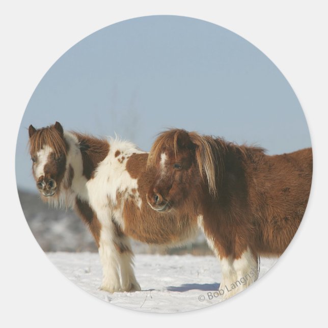 Pegatina Redonda Caballos en miniatura de pie en la nieve (Anverso)