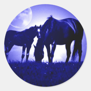 Pegatina Redonda Caballos en Noche Azul