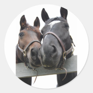 Pegatina Redonda Caballos enamorados