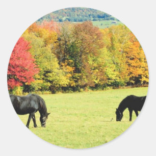 Pegatina Redonda Caballos negros de moda en otoño