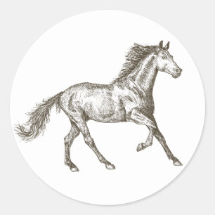 Pegatina Redonda Caballos occidentales ecuestre país caballo rústic