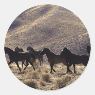Pegatina Redonda Caballos salvajes de Mustang en el desierto 1