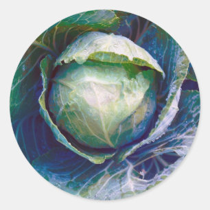 Pegatina Redonda Cabbage