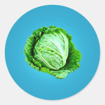 Cabbage