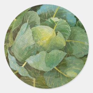 Pegatina Redonda Cabbage