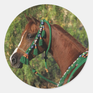 Pegatina Redonda Cabeza árabe de caballo con brindis