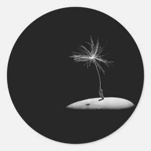 Pegatina Redonda Cabeza de la semilla del diente de león