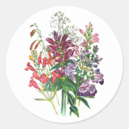 Pegatina Redonda Cabezas de toro y lenguas