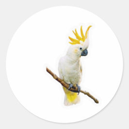Pegatina Redonda Cacatúa Tropical Vibrante - Loro Indonesio Exótico