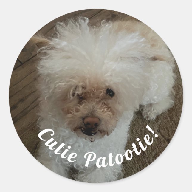 Pegatina Redonda Cachorrito (Anverso)