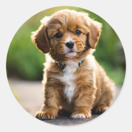 Pegatina Redonda Cachorro