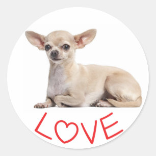 Pegatina Redonda Cachorro Chihuahua Fuchsia Rojo Corazón Amor