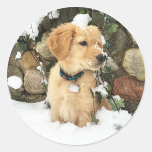 Pegatina Redonda Cachorro de nieve