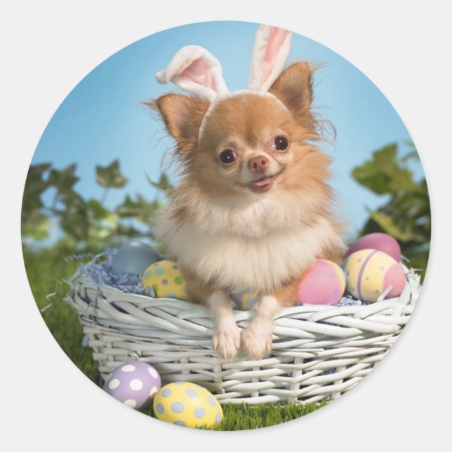 Pegatina Redonda Cachorro de Pascua (Anverso)