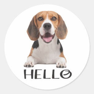Pegatina Redonda Cachorro De Perro Beagle Lindo Hola Te Extraño Ami