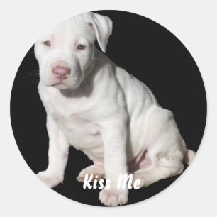 Pegatina Redonda Cachorro de Pitbull Blanco Bebé
