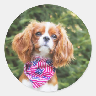 Pegatina Redonda Cachorro de raza Cavalier King Charles con bandera