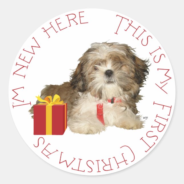 Pegatina Redonda Cachorro de Shih Tzu Primera Navidad (Anverso)