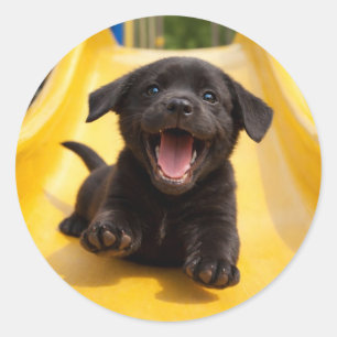 Pegatina Redonda Cachorro Feliz Labrador Retriever Negro Se Desliza