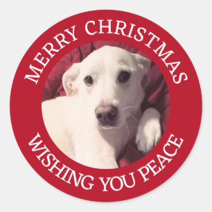 Pegatina Redonda Cachorro Hermoso Perro Feliz Navidad Paz Rojo
